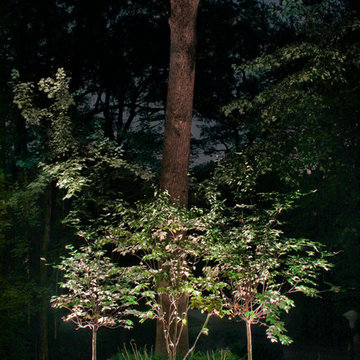 Bright Landscape Lighting