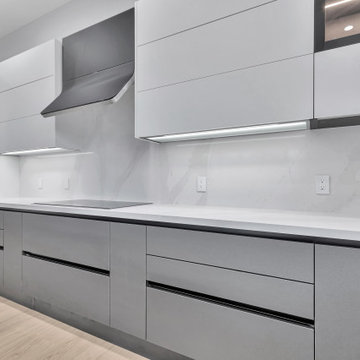 New Home with ADU