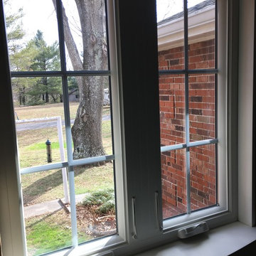 Windows & Rock - The Rock Garden - 24 Yrs. of  Neglect !