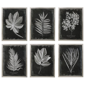 Uttermost Foliage Framed Prints, Set of 6