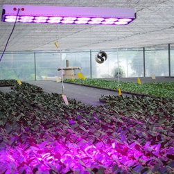 LED Aquarium Light - Products