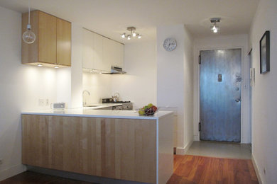 Trendy kitchen photo in New York
