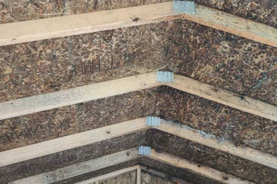 Attic Mold Remediation