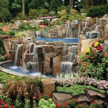 Patio Ideas