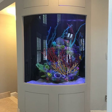 Custom Bow Front Aquarium