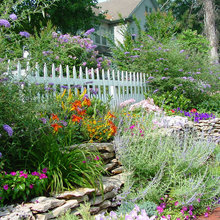 wall
