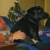 Phil Loper's photo