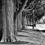Virg Tremblay's photo