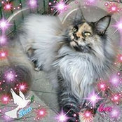 Patricia Sohm's photo