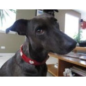 Carrie Mander's photo