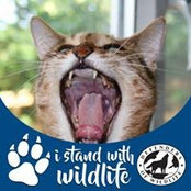 Brenda Seaver's photo