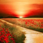 Tammy L. Woods's photo