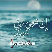 Foto von Alaa Shehata