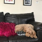 Dania Price's photo