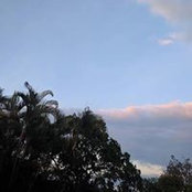 Andres Rosa's photo
