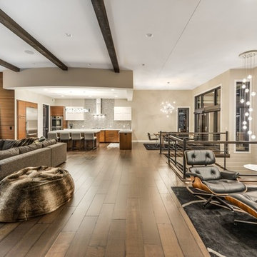 Eagles Landing - Modern Walkout Rambler -Saint Augusta, Mn