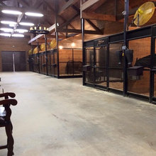 Stable