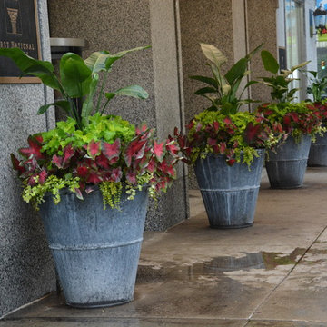 The Branch Studio - Hudson Pots