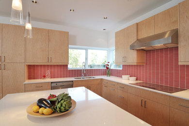 Minimalist kitchen photo in Houston