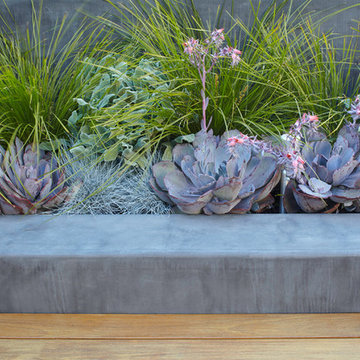 A San Francisco Victorian Modern