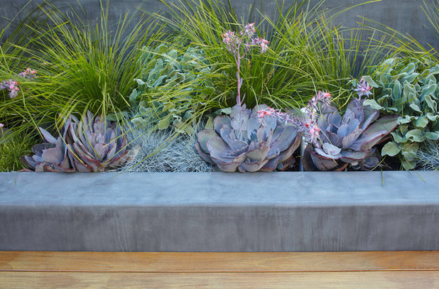 Modern by Growsgreen Landscape Design