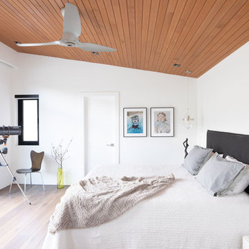 Contemporary Bedroom