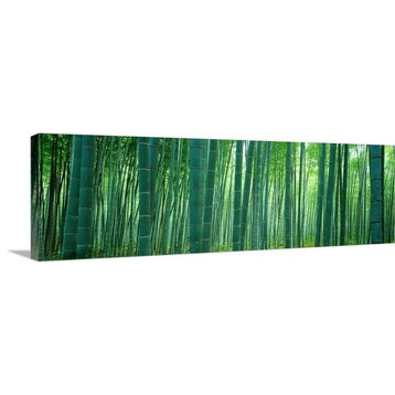 "Bamboo Forest, Sagano, Kyoto, Japan" Canvas Art, 60"x20"x1.25"
