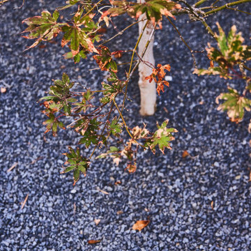 Paseo Eternidad IV