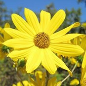 Nancy Joiner's photo