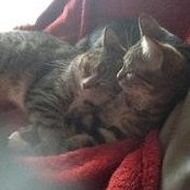 Sharon Pederson's photo