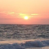 Tim Fandel's photo