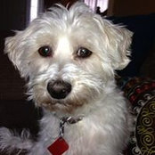 Linda Tkachenko's photo