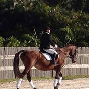 Martine Hackleman's photo