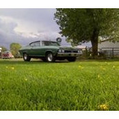 Mark Burks's photo