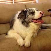 Pam Allen's photo