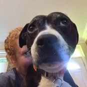 Amy DeYoung's photo
