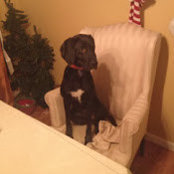 Emily Hickman's photo