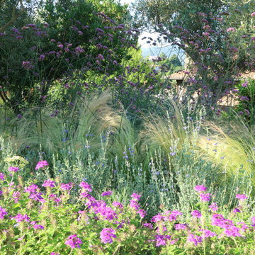 Giardino mediterraneo moderno