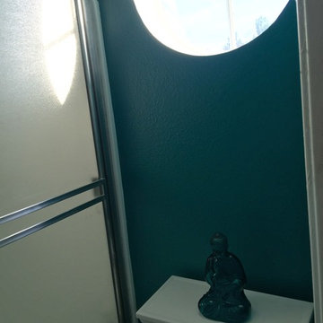Aliso Viejo contemporary interior