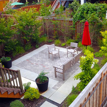 Small back garden