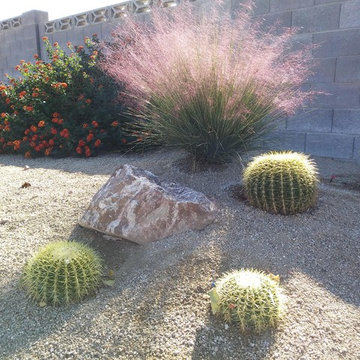 Haven for Birds and Pollinators