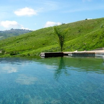 Our Residential Pools