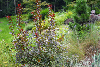 Photo of a farmhouse landscaping in New York.