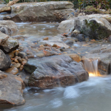 Backyard Koi Pond with Pond Supplies and Landscaping