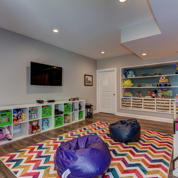 Basement Reno