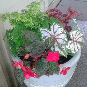 Summer Container Garden