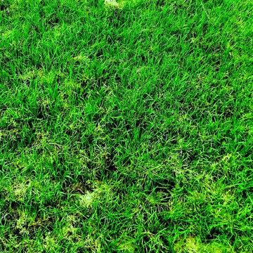 REHSE LANDSCAPEMAKEOVER