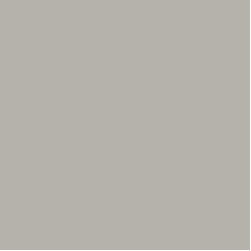 Benjamin Moore Revere Pewter HC-172 - Paint