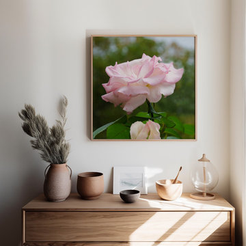 Admiration Floral Photo Nature Inspired Artwork