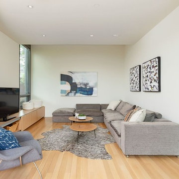 Family Room - Modern
